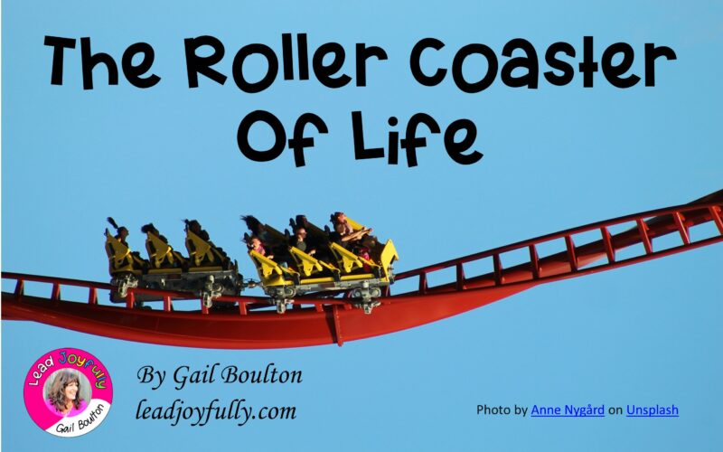 The Roller Coaster Ride of Life