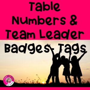 Table Numbers/Team Leader Badge-Tags